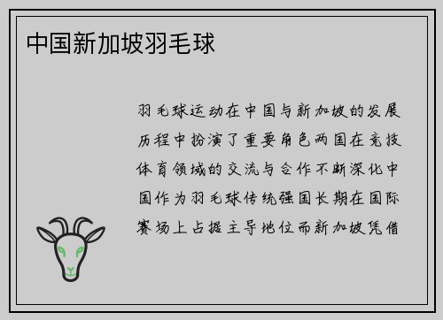 中国新加坡羽毛球