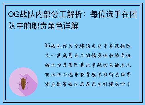 OG战队内部分工解析：每位选手在团队中的职责角色详解