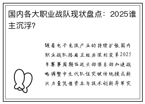 国内各大职业战队现状盘点：2025谁主沉浮？
